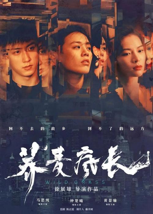 哥伦比亚驾照怎么制作